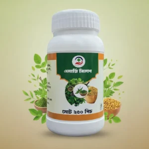 shastho bangla elagi ninas poster 1